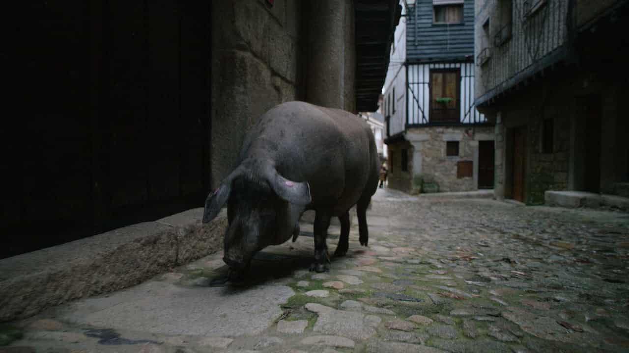 5. Bölüm