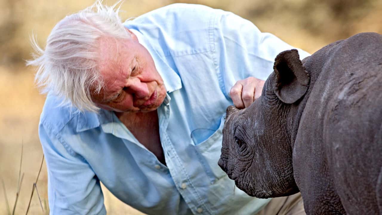 Afrika 1. Sezon 6. Bölüm kapak
