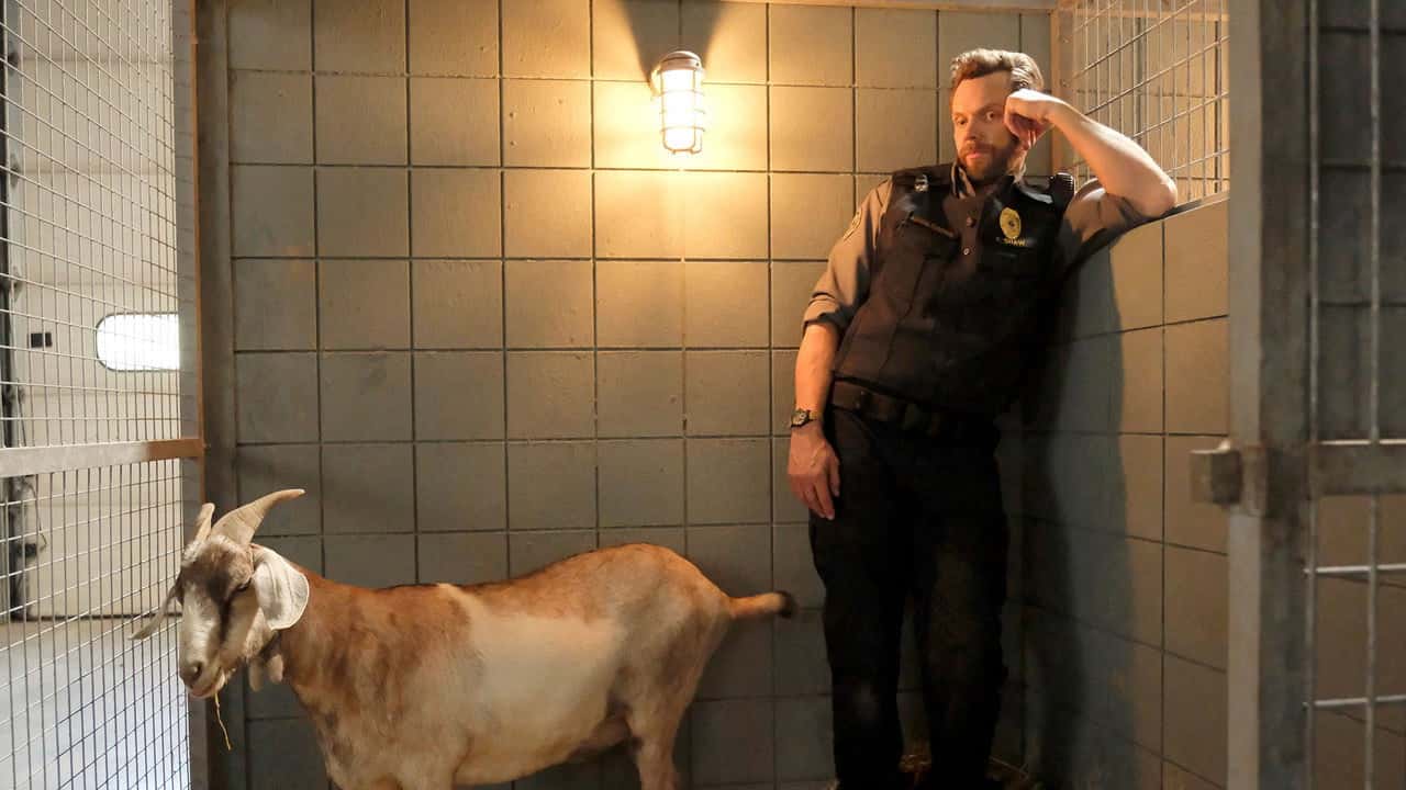 Animal Control 3. Sezon 3. Bölüm kapak