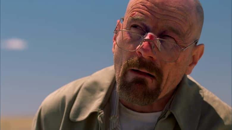 Breaking Bad 4. Sezon 11. Bölüm kapak
