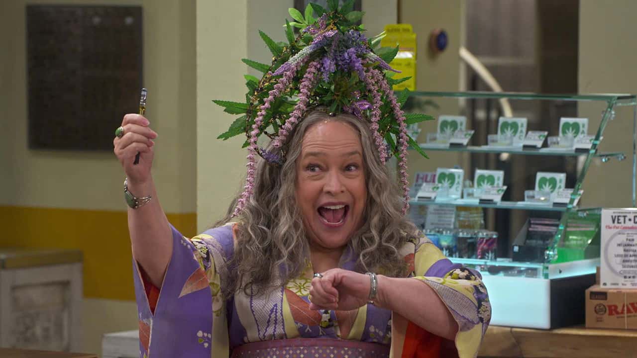 Disjointed 1. Sezon 11. Bölüm kapak