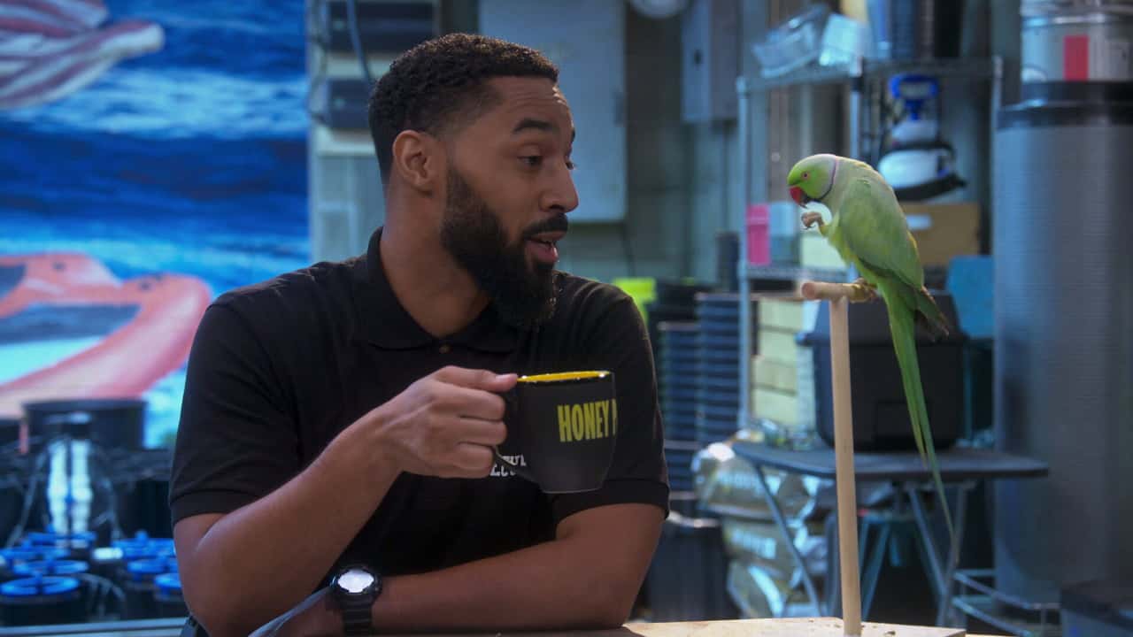 Disjointed 1. Sezon 15. Bölüm kapak