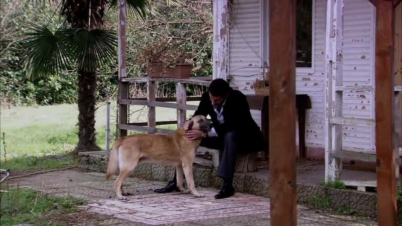 Ezel 1. Sezon 10. Bölüm kapak