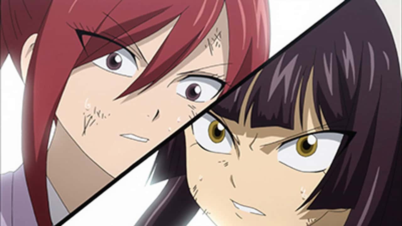 Fairy Tail 5. Sezon 10. Bölüm kapak