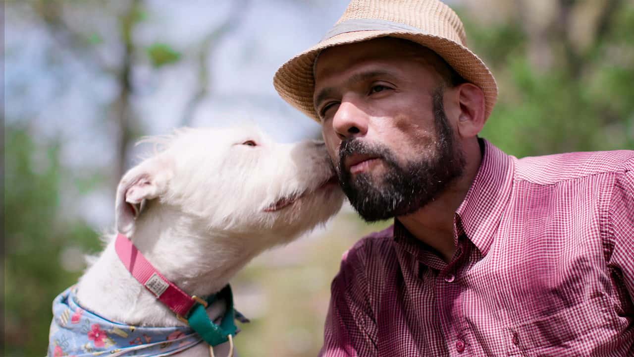 Köpekler 1. Sezon 6. Bölüm kapak