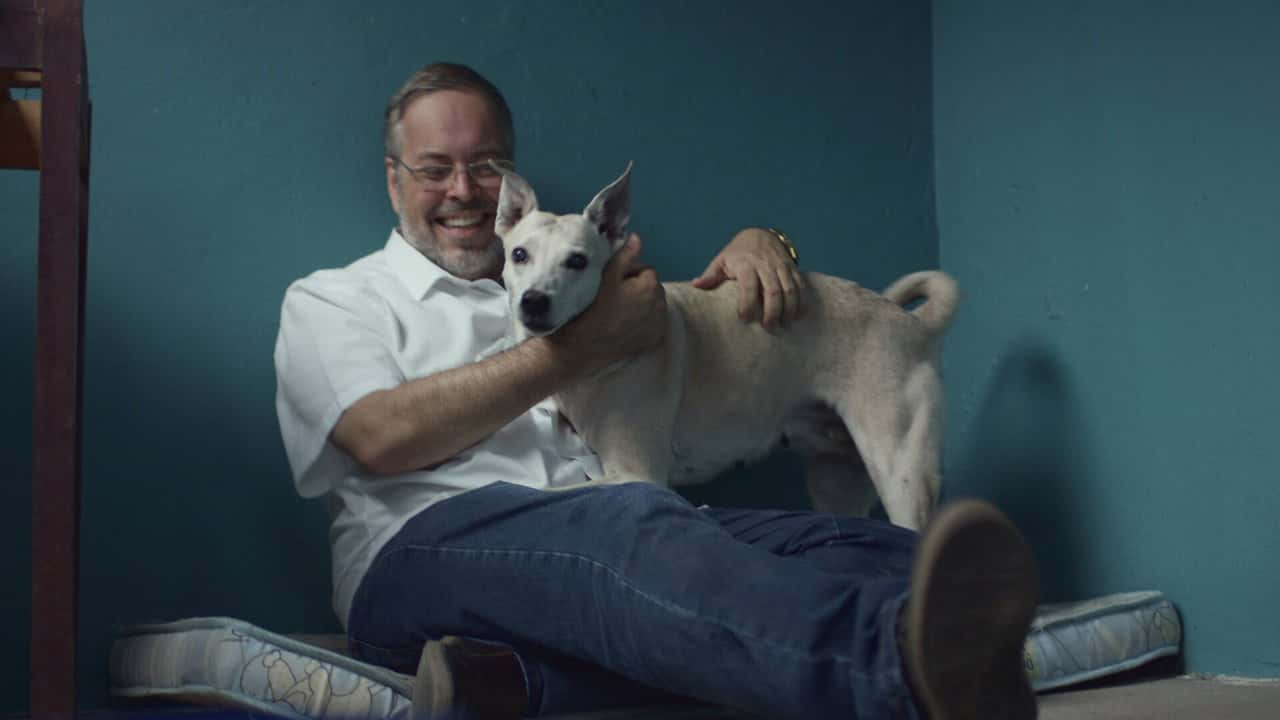 Köpekler 2. Sezon 4. Bölüm kapak