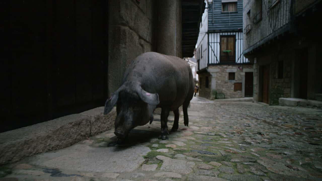 Omnivore 1. Sezon 5. Bölüm kapak