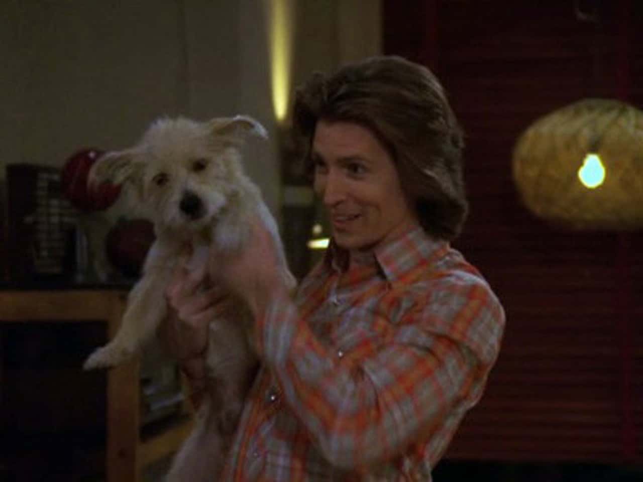 That '70s Show 8. Sezon 20. Bölüm kapak