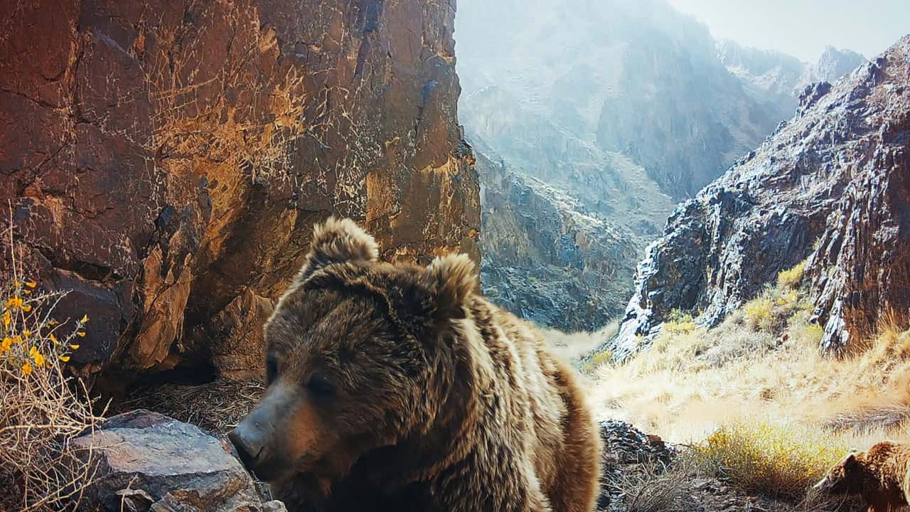 The Wild Ones 1. Sezon 2. Bölüm kapak