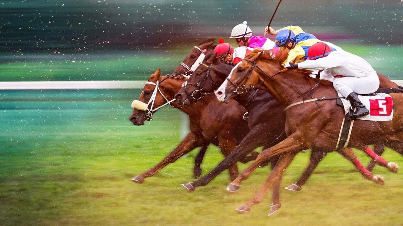 Race for the Crown 1. Sezon 2. Bölüm kapak