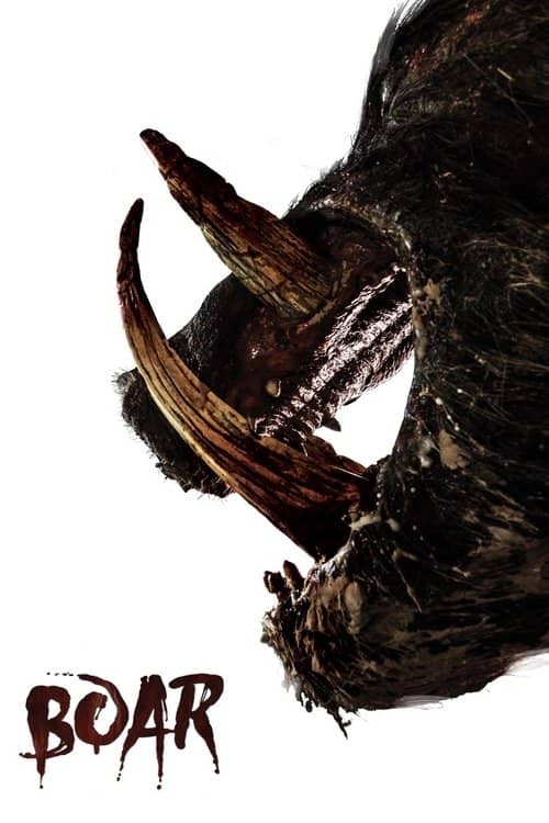 Boar izle