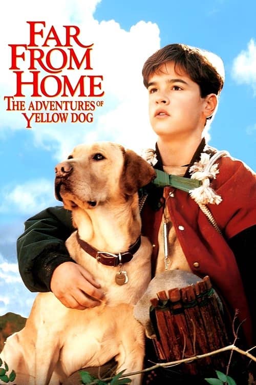 Evden Uzakta: Sarı Köpeğin Maceraları izle