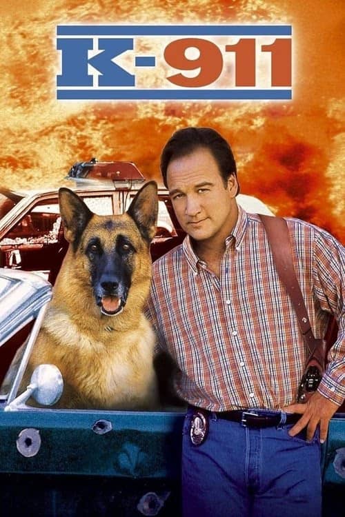 K-911 izle