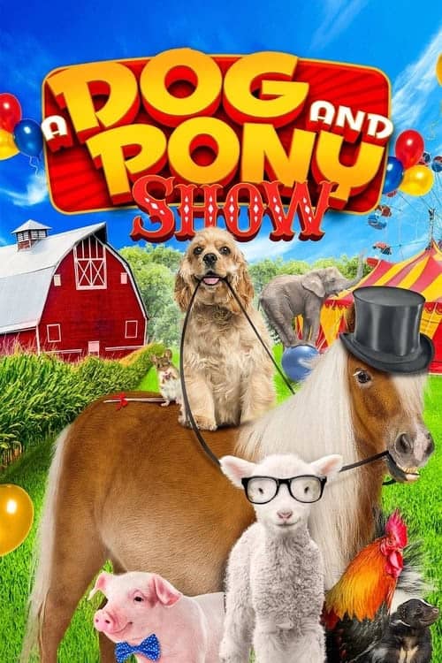 Köpek ve Midilli izle