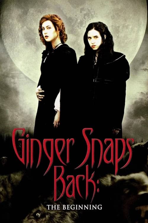 Kurt Kızların Laneti Başlıyor izle