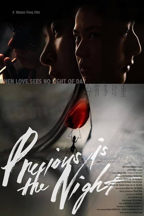 Precious Is the Night izle