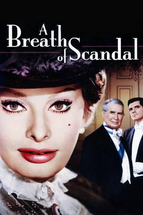 Prensesin Macerası izle