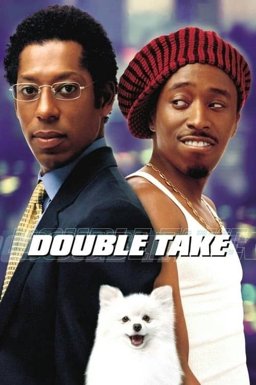 Tehlikeli İkili izle