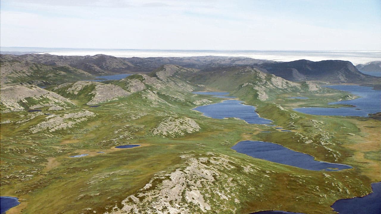 4. Bölüm