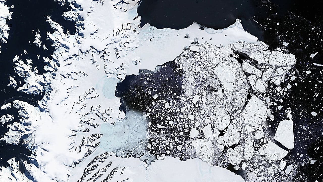 7. Bölüm