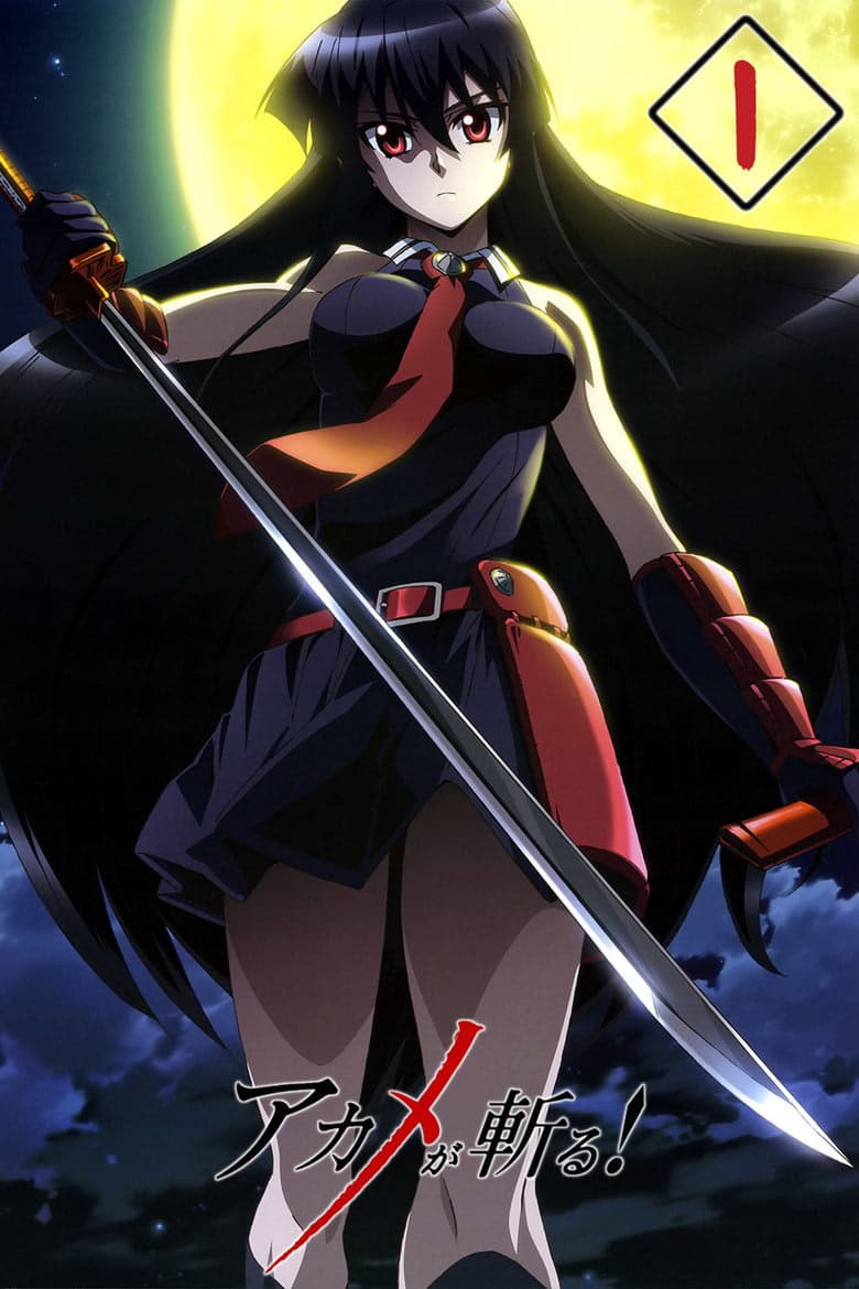 Akame ga Kill! 1. Sezon Posteri