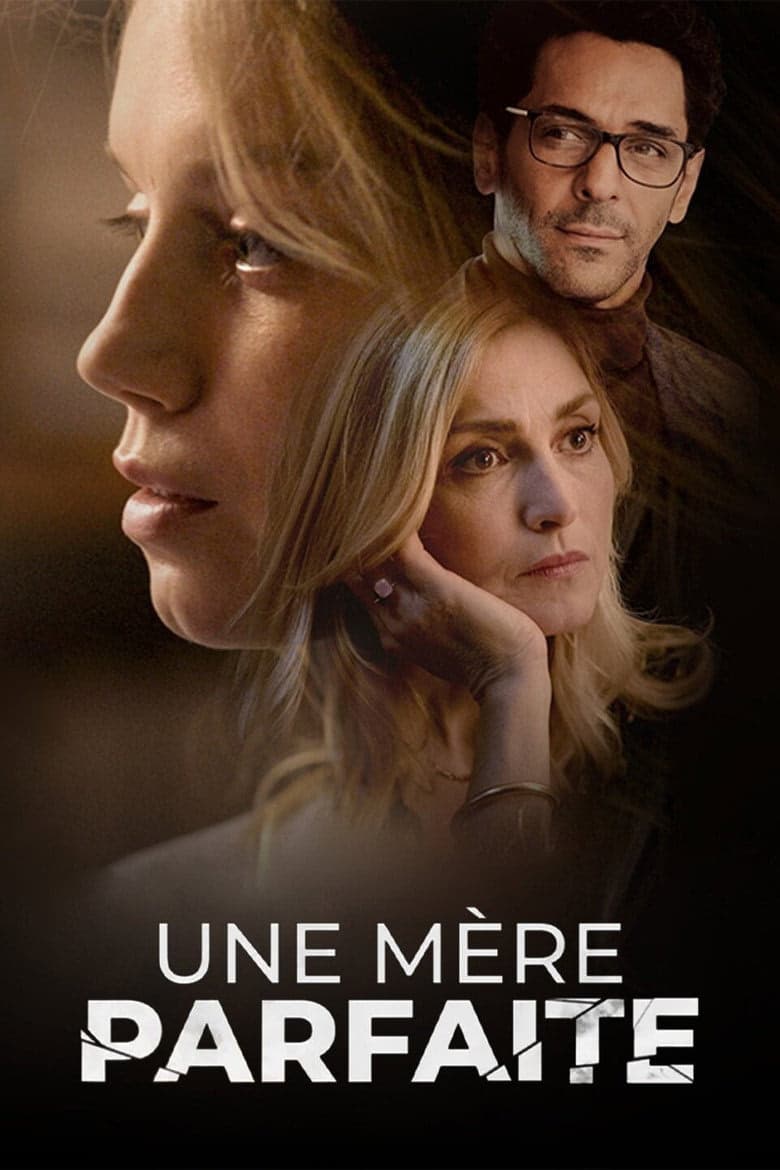 İdeal Bir Anne 1. Sezon Posteri