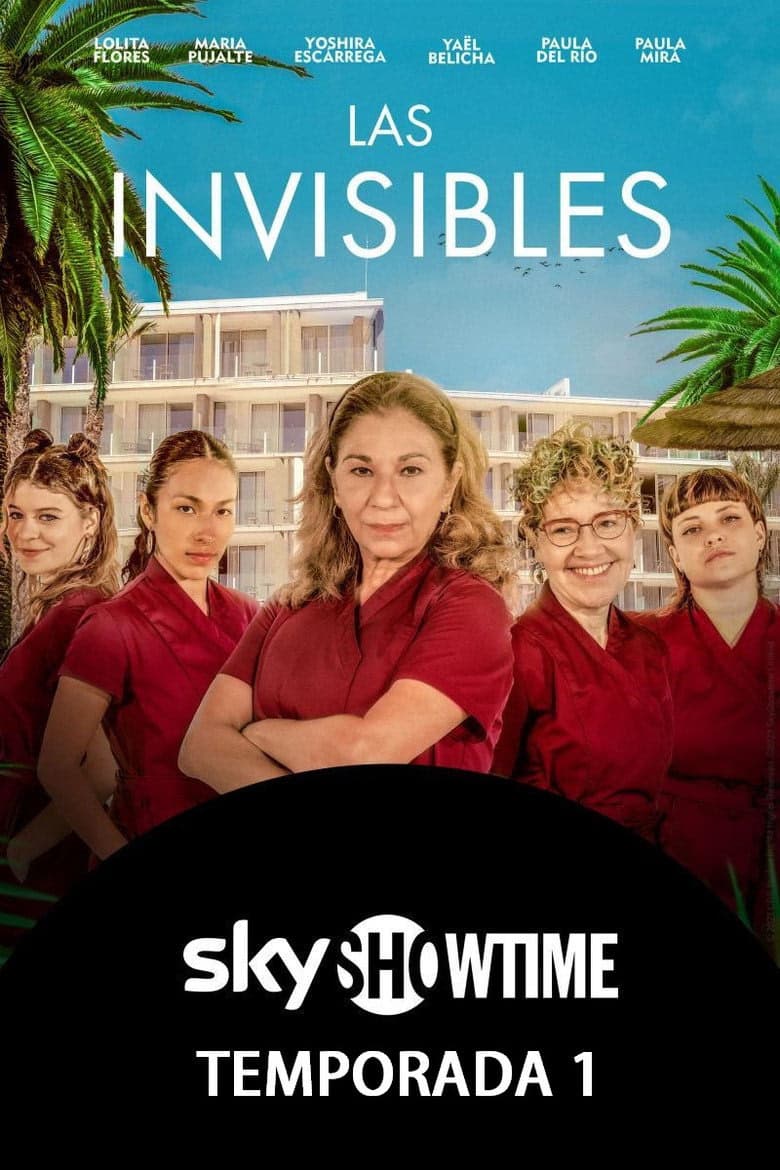 The Invisible Ladies 1. Sezon Posteri