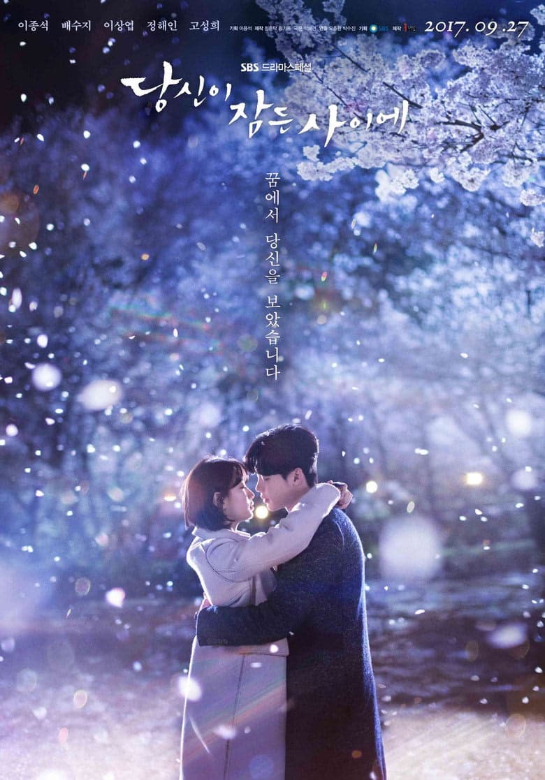 While You Were Sleeping 1. Sezon Posteri
