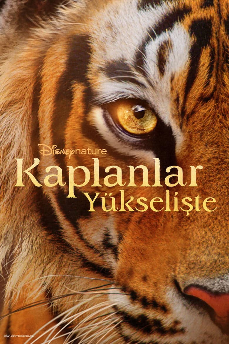 Kaplanlar Yükselişte izle