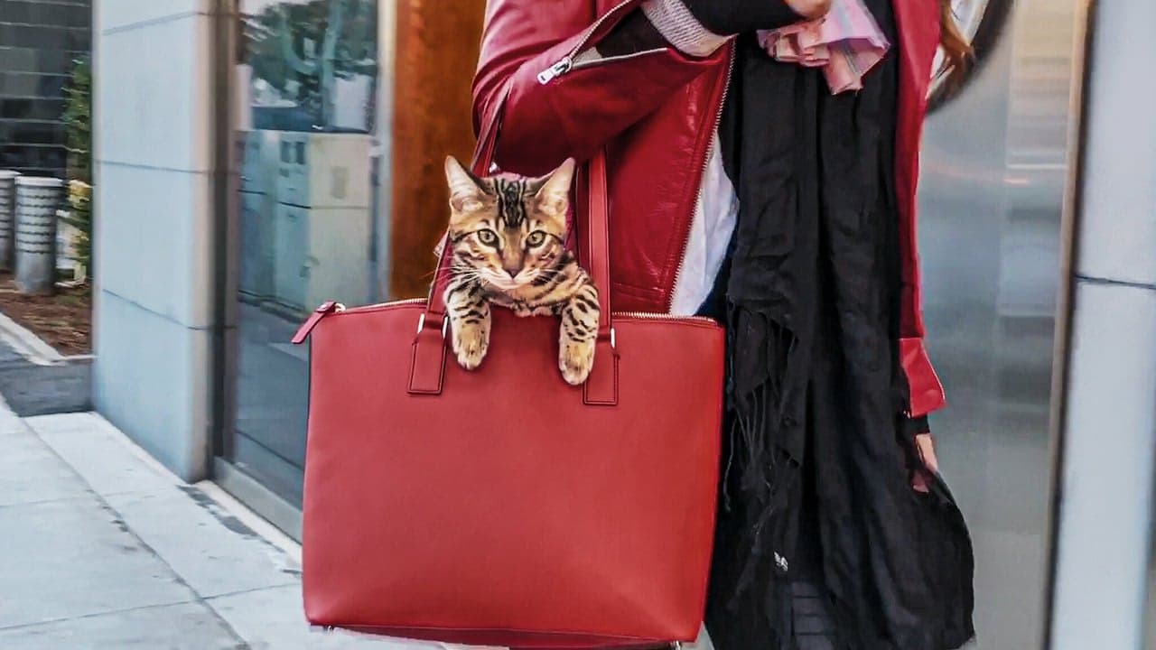Cat People arka plan