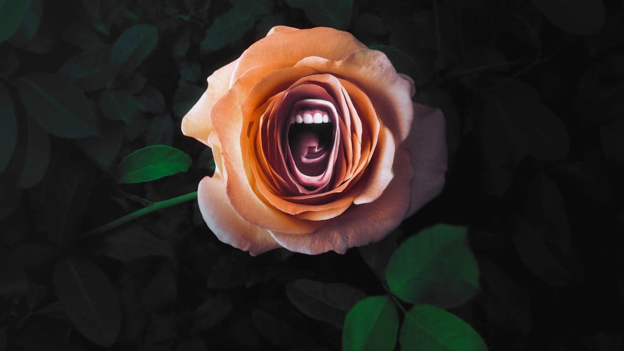 Roar arka plan