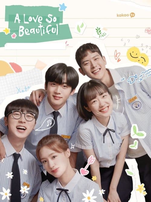 A Love So Beautiful izle