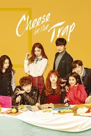 Cheese in the Trap