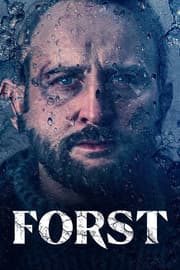 Dedektif Forst