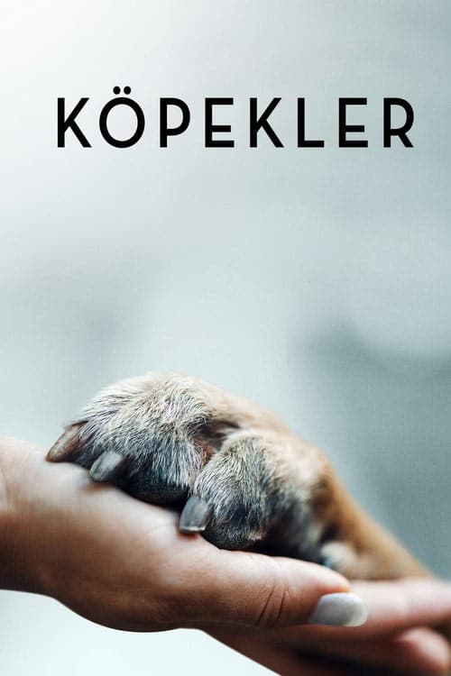Köpekler izle