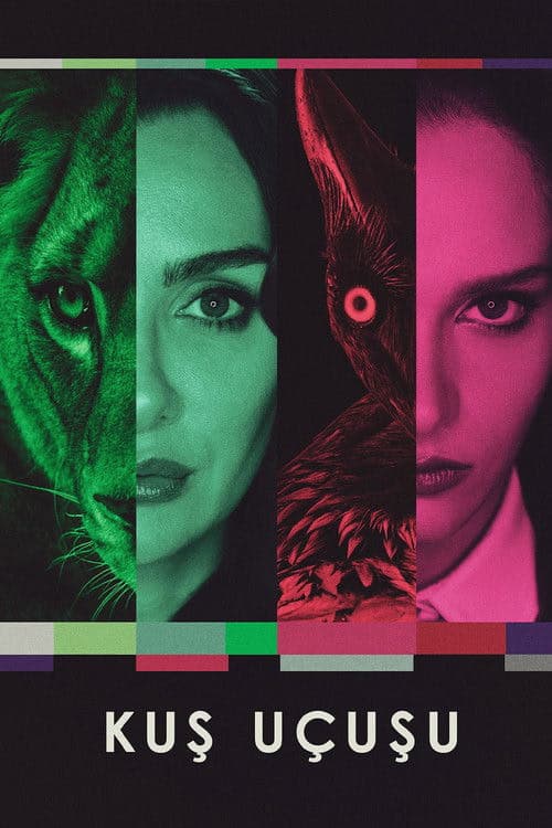 Kuş Uçuşu izle