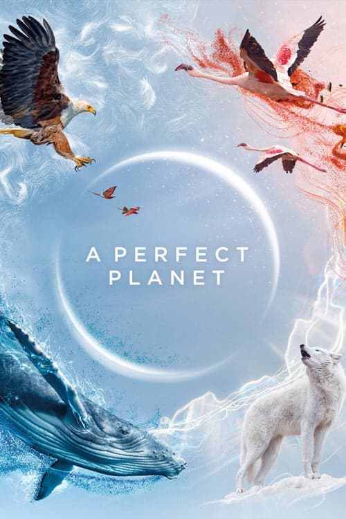 Kusursuz Gezegen izle