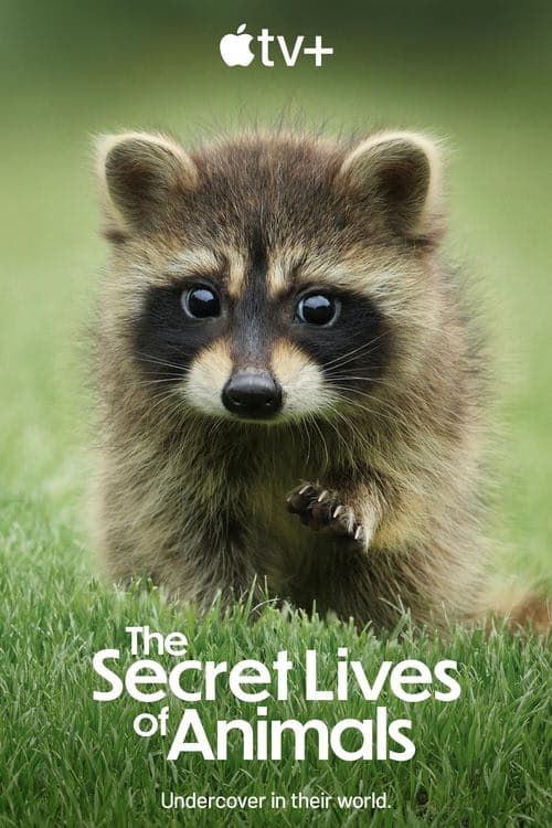 The Secret Lives of Animals izle