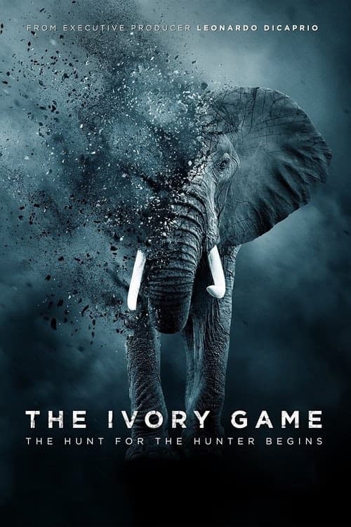 Fildişi Oyunu izle