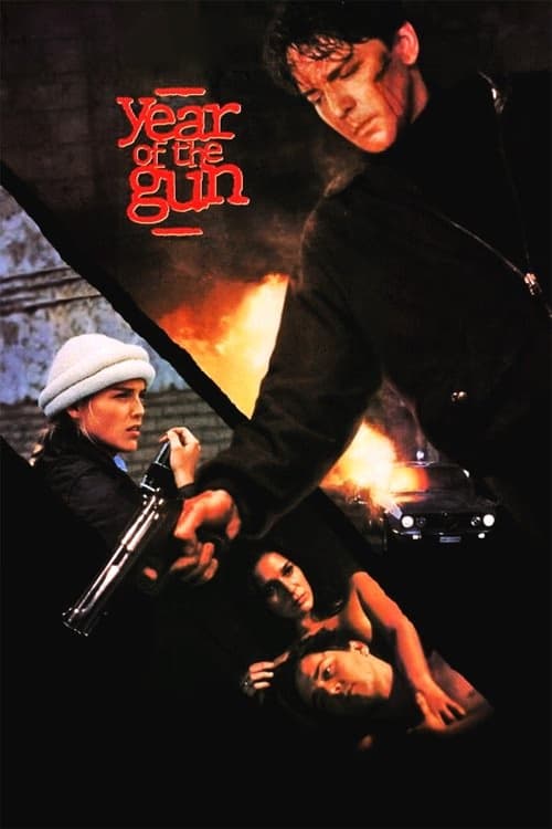 Şiddet Yılı izle