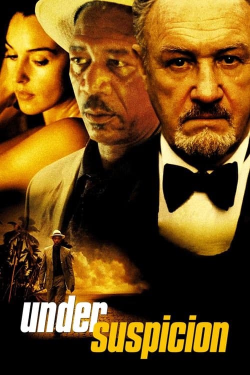 Suçlu Kim? izle
