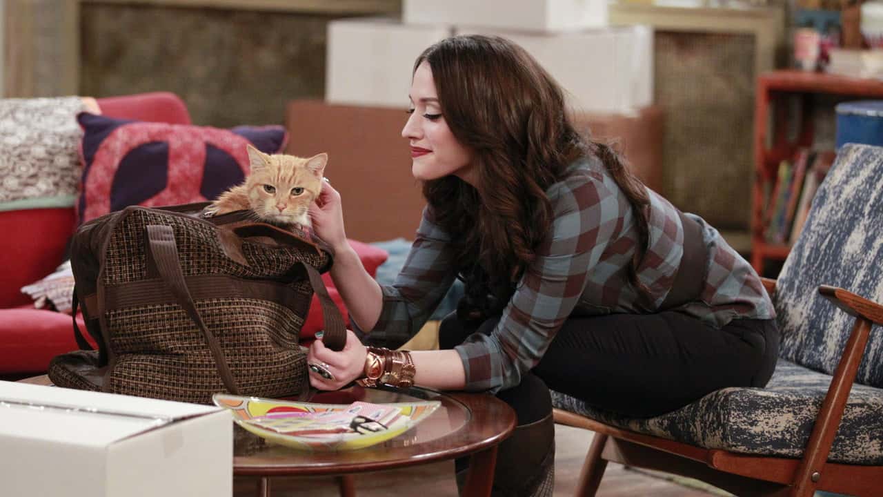 2 Broke Girls 4. Sezon 15. Bölüm kapak