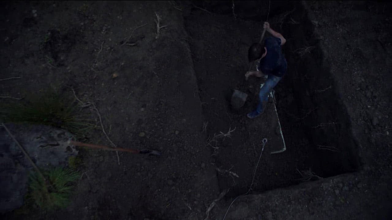 5. Bölüm