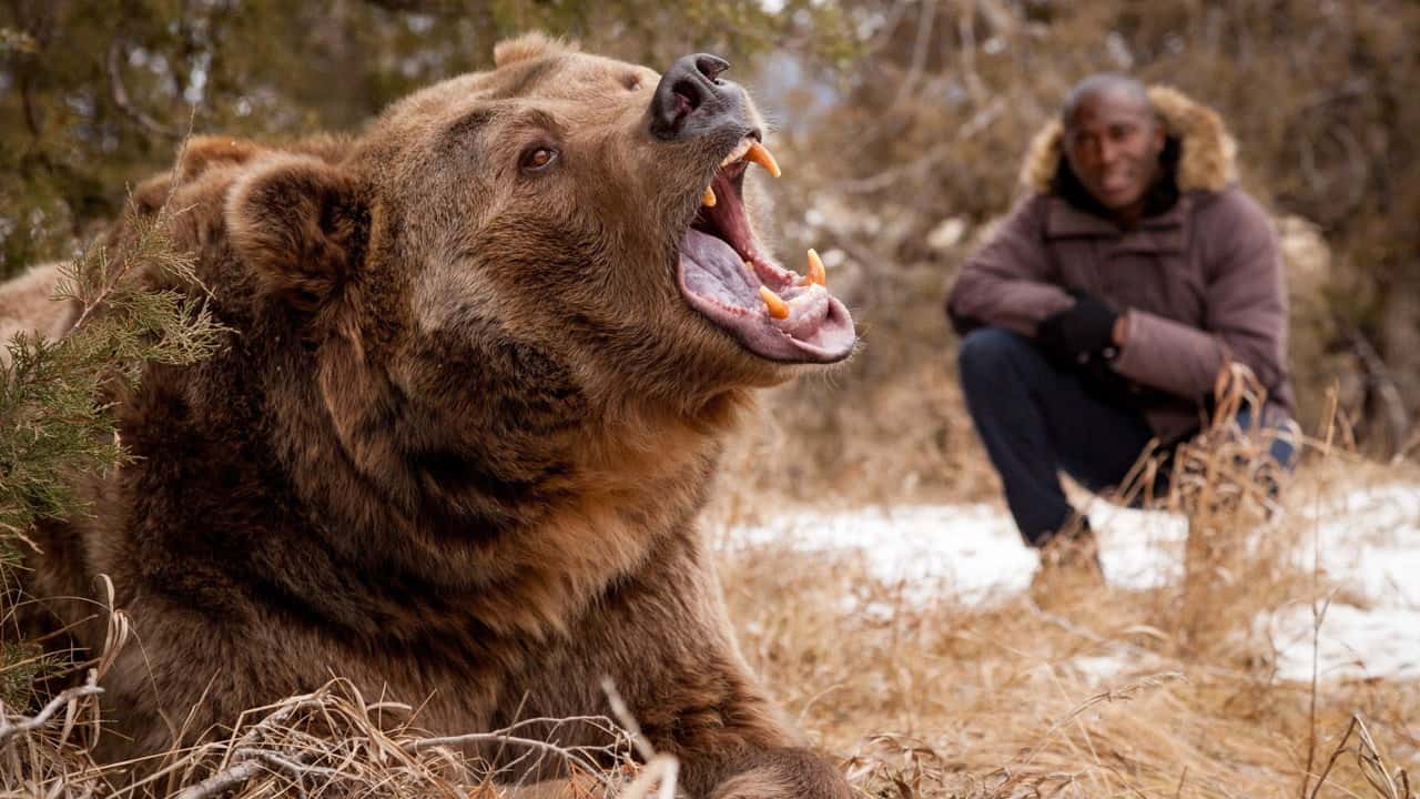 Big Beasts: Last of the Giants 1. Sezon 1. Bölüm kapak