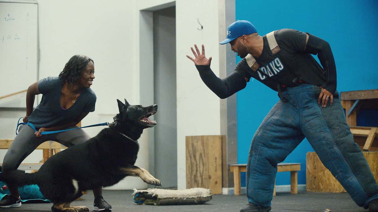 Canine Intervention 1. Sezon 3. Bölüm kapak