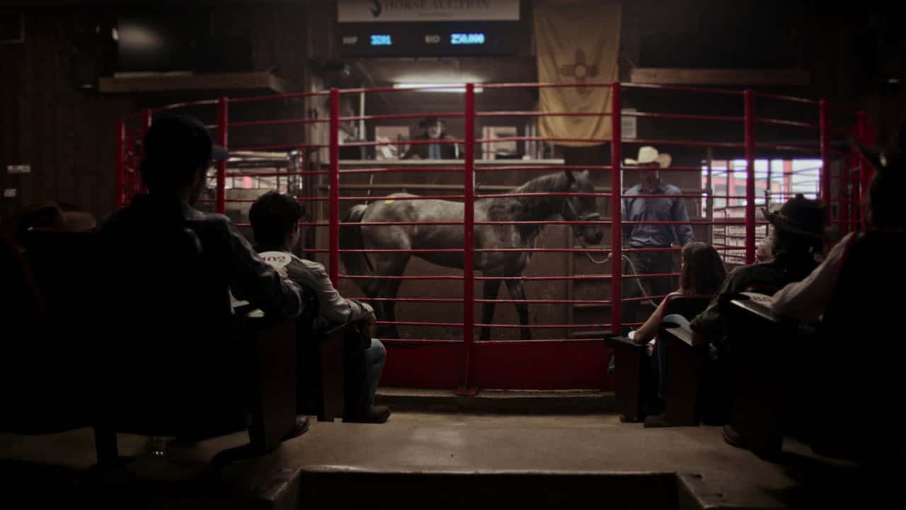 Cowboy Cartel 1. Sezon 2. Bölüm kapak