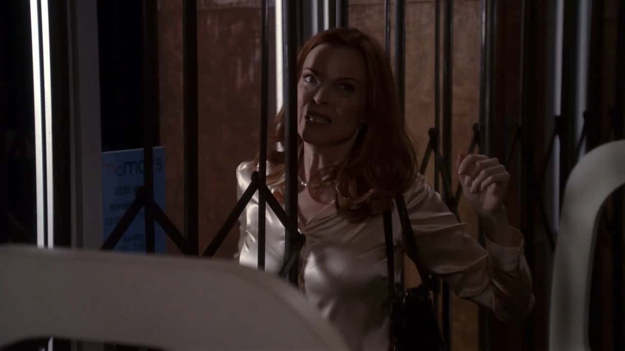 Desperate Housewives 2. Sezon 17. Bölüm kapak