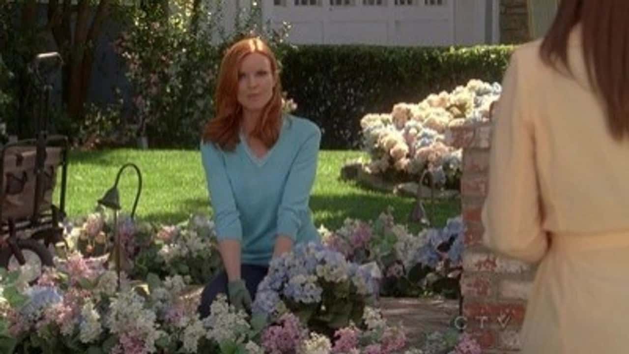 Desperate Housewives 7. Sezon 21. Bölüm kapak