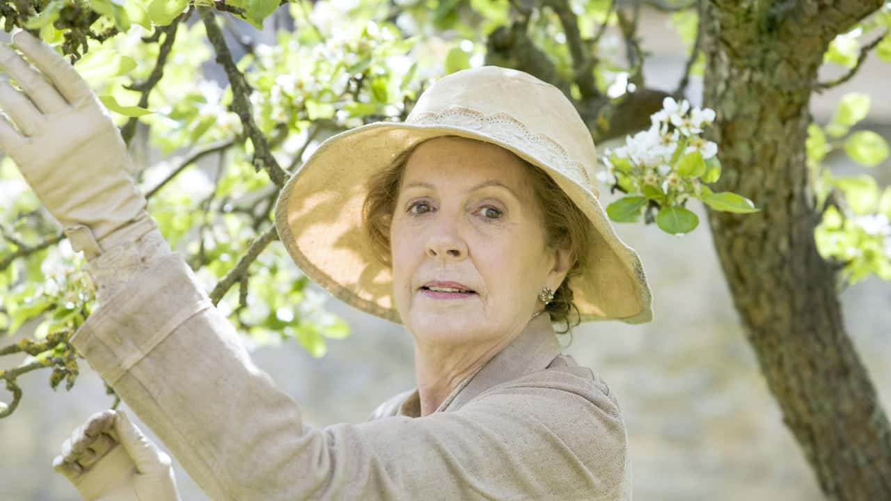 Downton Abbey 5. Sezon 4. Bölüm kapak