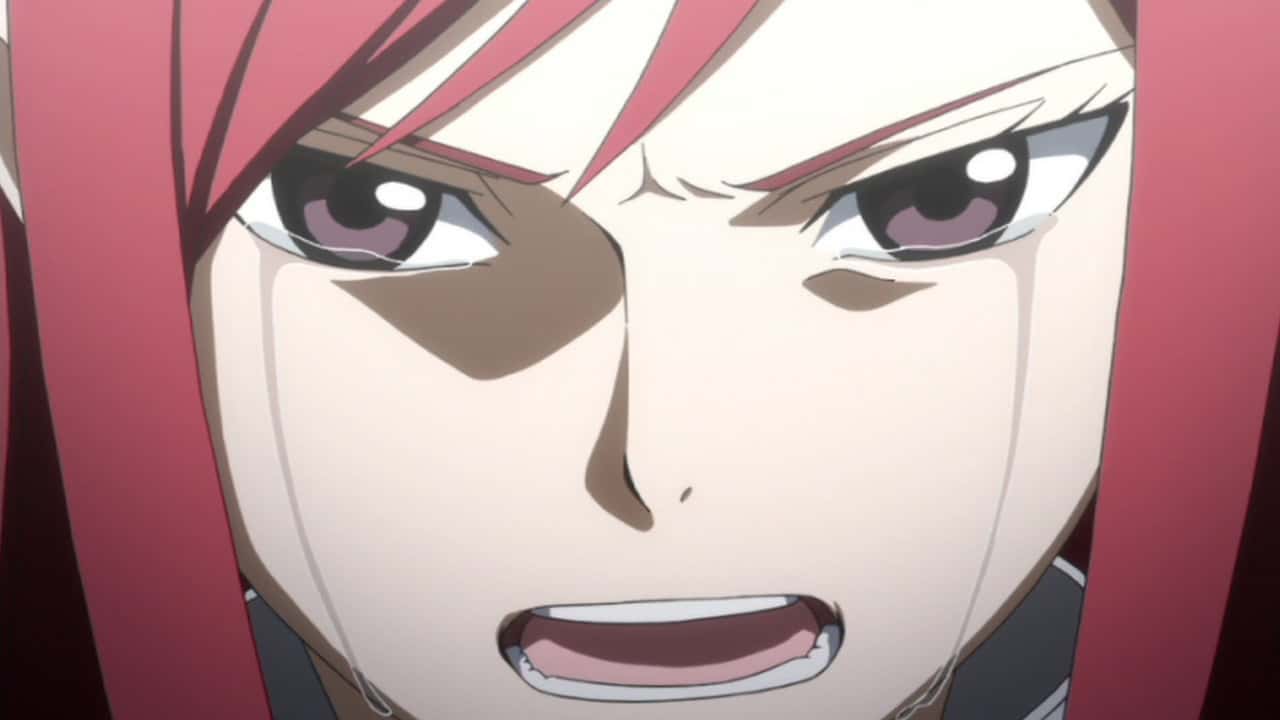 Fairy Tail 2. Sezon 18. Bölüm kapak